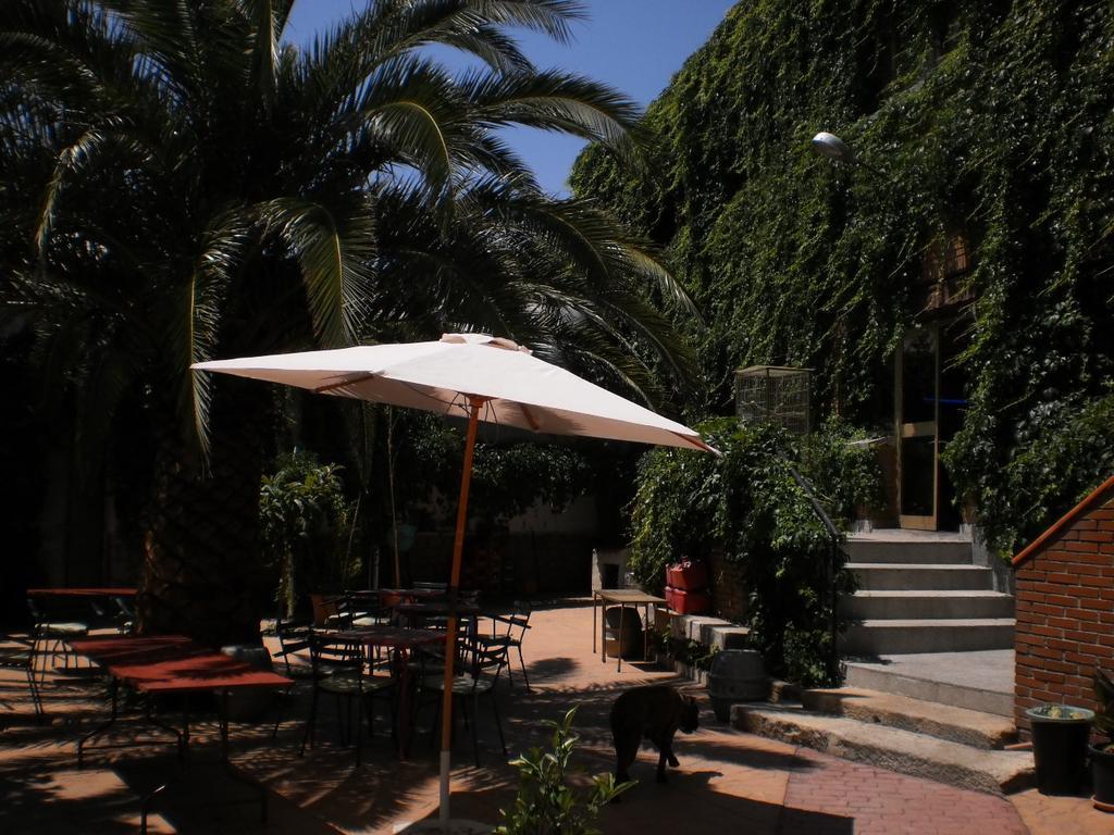 Hostal San Jose Cadalso de los Vidrios Екстер'єр фото